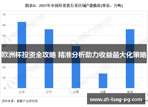 欧洲杯投资全攻略 精准分析助力收益最大化策略
