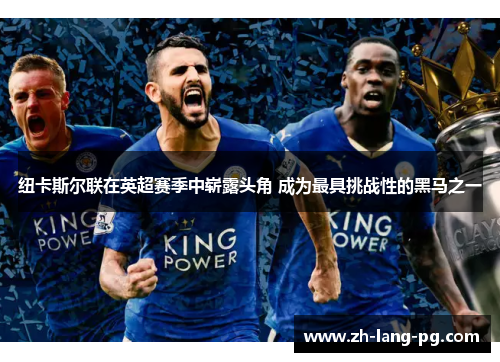 纽卡斯尔联在英超赛季中崭露头角 成为最具挑战性的黑马之一