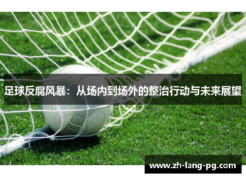 足球反腐风暴：从场内到场外的整治行动与未来展望